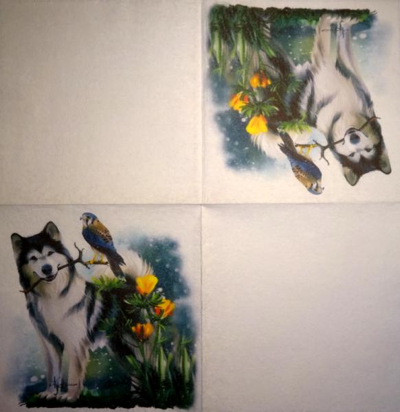 340 Dogs - 1/2/3-ply - Soft Touch - Specials